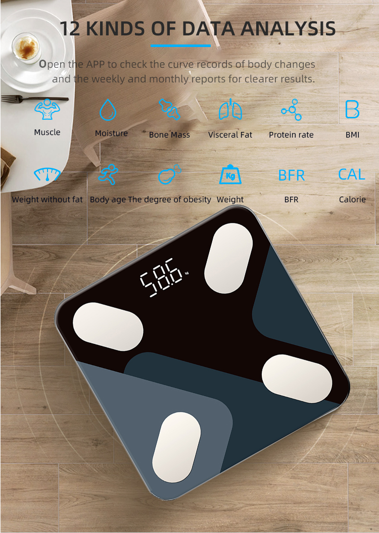 body fat percentage scales with app